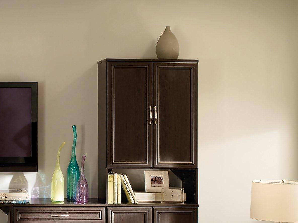 imageClosetMaid SuiteSymphony Tie Belt or Jewelry Rack Sliding Slide Out Closet Organizer 14 Hooks Wall Mount or Add On Accessory Satin NickelEspresso