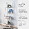 ClosetMaid 1312 4-Tier Wood Ladder Shelf Bookcase, Natural(Taupe)